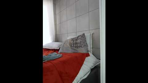 zee_online @ stripchat on 20241204