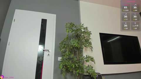 Media: lissababe1 Stripchat 2024-12-05 18:41:00