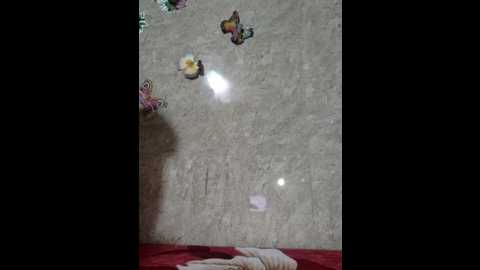 Media: roohi_sexy Stripchat 2024-12-05 10:09:00