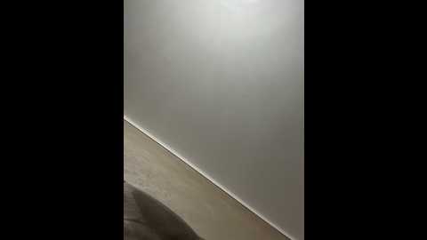 Media: babesgowild Stripchat 2024-12-06 05:16:00