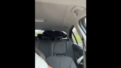 Media: clairewntr Stripchat 2024-12-06 13:09:00