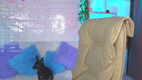 Media: lustful_emily Stripchat 2024-12-06 03:00:00