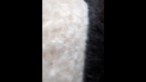 Media: morphine_666 Stripchat 2024-12-06 08:17:00
