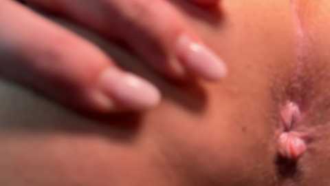Media: dirtypub Stripchat 2024-12-07 00:00:00