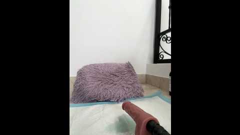 Media: emiss_ Stripchat 2024-12-07 15:31:00