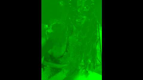 Media: ahu_mask01 Stripchat 2024-12-08 13:49:00
