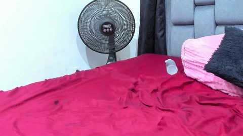 Media: couple_gold69 Stripchat 2024-12-08 11:40:00