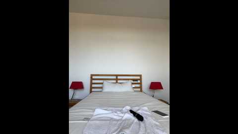 Media: dorideluxe66 Stripchat 2024-12-08 15:12:00