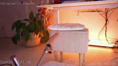 Media: lilevame Stripchat 2024-12-08 14:57:00