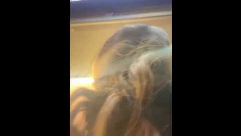 Media: sam_sara Stripchat 2024-12-08 02:36:00