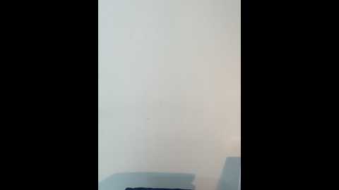 Media: brendacrean Stripchat 2024-12-09 13:19:00