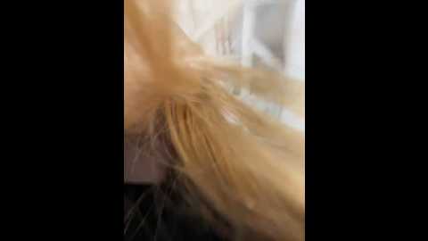 Media: honey___hot Stripchat 2024-12-09 14:30:00