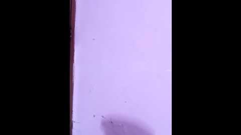 jenny_kaur @ stripchat on 20241209