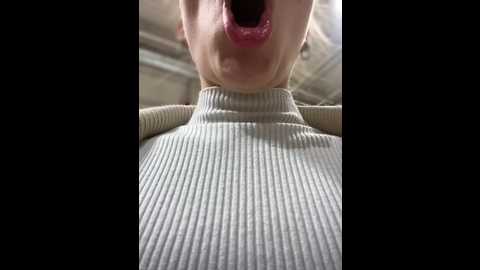 kittecat @ stripchat on 20241209