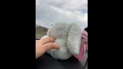 Media: bondgirl_013 Stripchat 2024-12-10 08:24:00