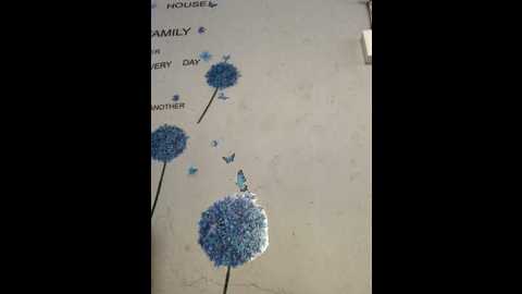 diamondgoddes @ stripchat on 20241210