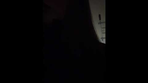 Media: ekaterinagilbert Stripchat 2024-12-10 01:21:00