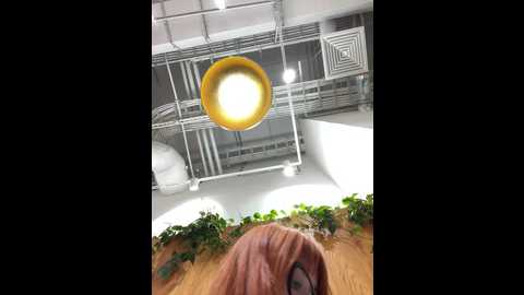 foxy_lexy @ stripchat on 20241210