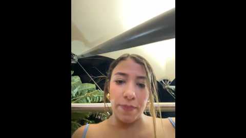 Media: hall_16 Stripchat 2024-12-10 01:20:00