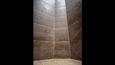 Media: nalgonasex_ Stripchat 2024-12-10 19:47:00