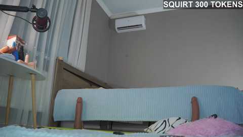 Media: queenelia Stripchat 2024-12-10 15:32:00