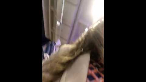 Media: emma_tour Stripchat 2024-12-11 18:13:00