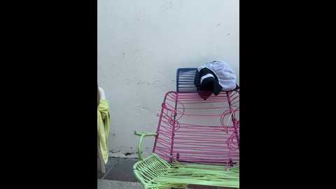 eva_y_marcelo @ stripchat on 20241211