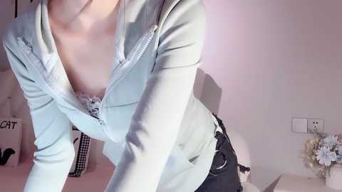 Media: lvy_w Stripchat 2024-12-11 09:08:00