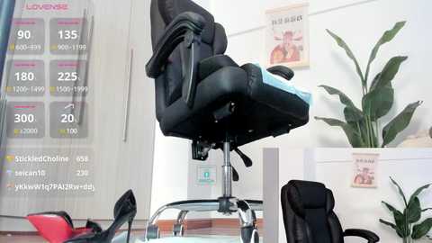 Media: oo_kaixin_oo Stripchat 2024-12-11 02:49:00