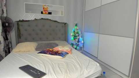 Media: _adelle Stripchat 2024-12-12 17:34:00