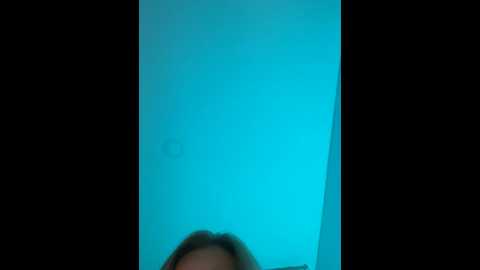 Media: curchez_ Stripchat 2024-12-12 01:50:00