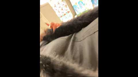 Media: chloe__moon Stripchat 2024-12-13 16:02:00