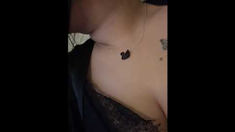 cua_2k3 @ stripchat on 20241213