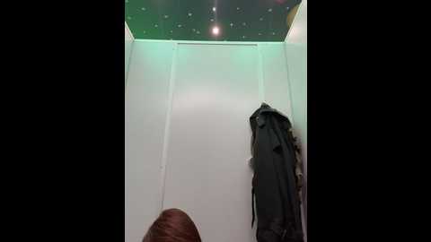 Media: dina_tease Stripchat 2024-12-13 13:44:00