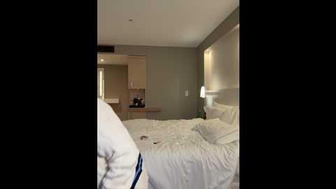 Media: hotbella_ Stripchat 2024-12-13 17:29:00