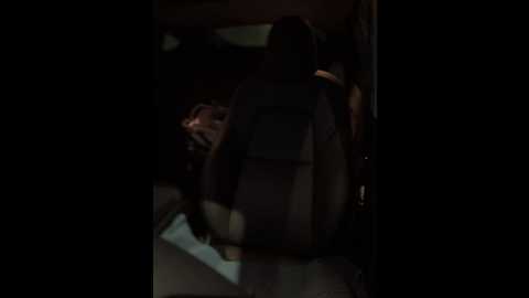 Media: ladylena1 Stripchat 2024-12-13 01:01:00