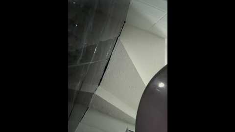 Media: littledoll___ Stripchat 2024-12-13 16:37:00