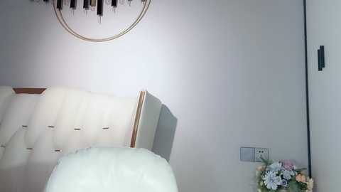 Media: lvy_w Stripchat 2024-12-13 09:02:00