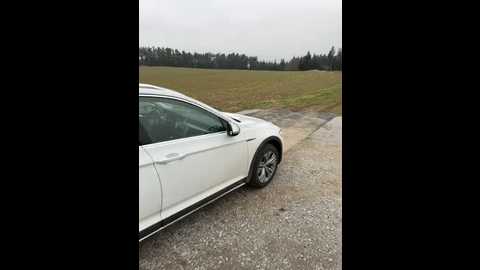 secretcrazy69 @ stripchat on 20241213