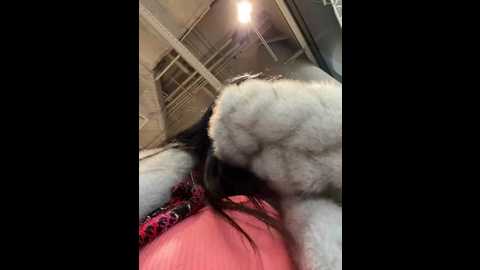 Media: wet__bunny Stripchat 2024-12-13 10:08:00