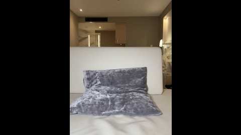 Media: hotbella_ Stripchat 2024-12-14 01:06:00