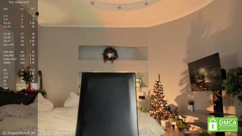 Media: maryweberc Stripchat 2024-12-14 09:38:00