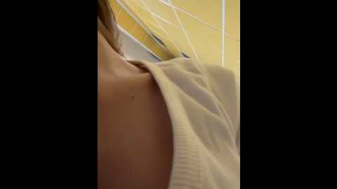 Media: _angelari_ Stripchat 2024-12-15 01:01:00