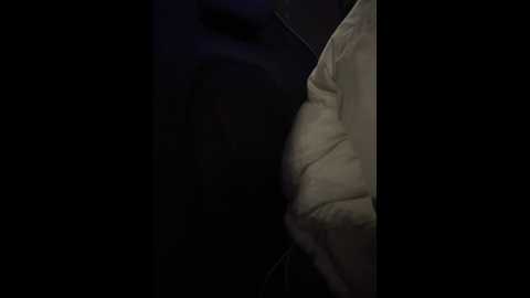 Media: _angelari_ Stripchat 2024-12-15 20:53:00