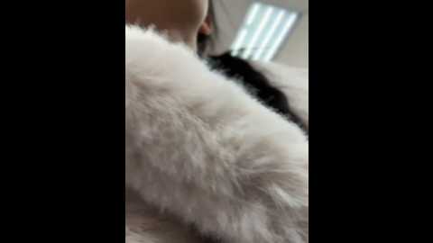 Media: angelinateller Stripchat 2024-12-15 07:55:00