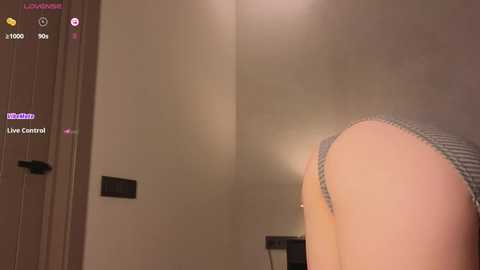 Media: elsa_stormy Stripchat 2024-12-15 12:45:00