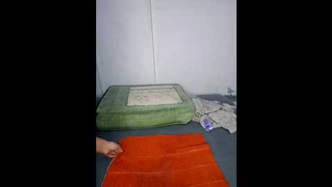 lyaliii @ stripchat on 20241215