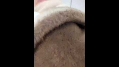 Media: morphine_666 Stripchat 2024-12-15 07:16:00