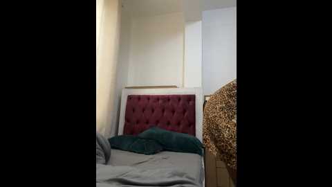 Media: assiology__fuck_me_good1 Stripchat 2024-12-16 09:58:00