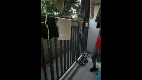 Media: assiology__fuck_me_good1 Stripchat 2024-12-16 15:45:00